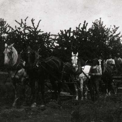 Happy Valley - Horse Drawn Road Equipment - 1915