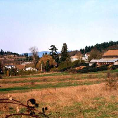 Happy Valley Pastoral Scene. 1980s.: Copyright: Clackamas County Historical Society; Origformat: Other