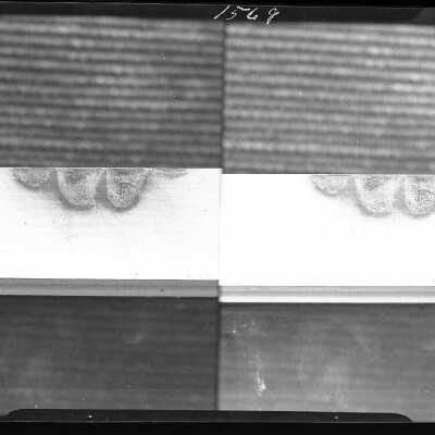 Photographs of finger prints for Oregon City Oregon Police - Mach 1930 -Negative