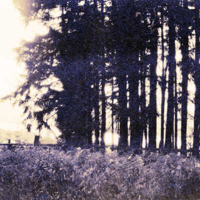 Canemah 1926 - Canemah Park