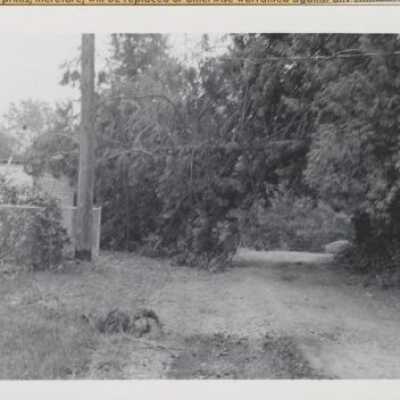 Columbus Day Storm Damage 1962