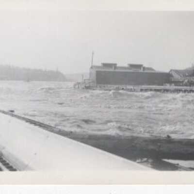 Flood - Willamette River