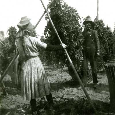 Park Place 1903 - Man and Woman in Hop Fields