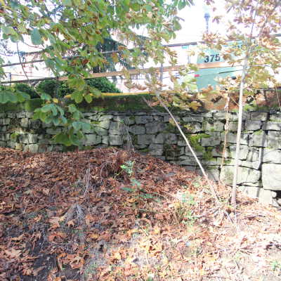 Oregon City Arch Bridge Restoration 2011