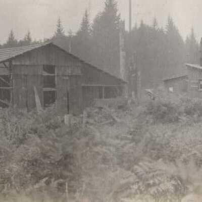 Photograph of Old Barn, shed with horse drawn wagon and people - circa 1913-1914