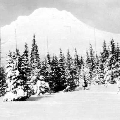 Mt. Hood from Government Camp