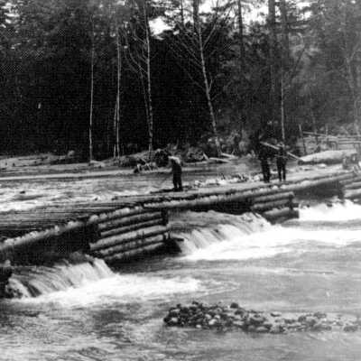 Fish Dam on Salmon River 1910, Welches, Oregon
