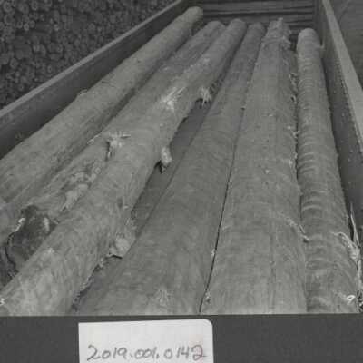 Lumber Industry