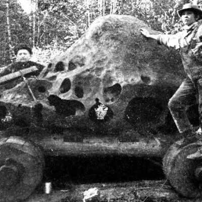 Willamette Meteorite on Cart: Copyright: None; Origsize: 6" x 9.5"; Origformat: Print-Photographic