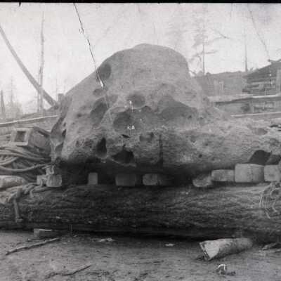 Willamette Meteorite -1904