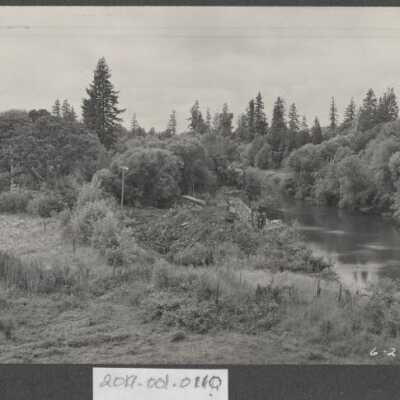Lumber Industry