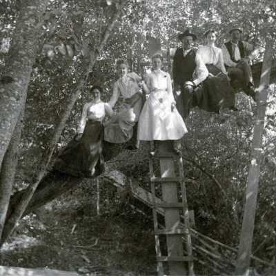 Group in Tree at Roethe's Landing on the Willamette River.: Copyright: None; Origsize: 4" x  6"; Origformat: Print-Photographic