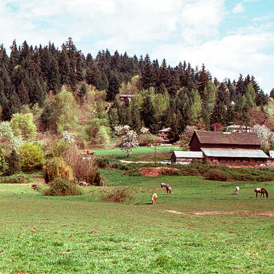 Happy Valley - Deardorff Barn and Horse Pasture 1989