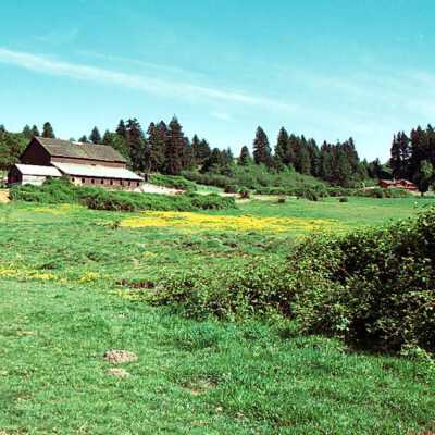 Deardorff Barn and Pasture. 1989.: Origformat: Other