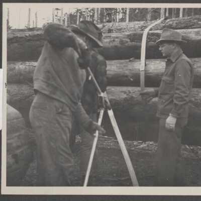 Lumber Industry