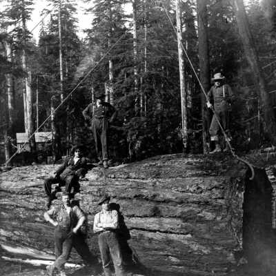 Logging 1920's - Men Hoisting Large Tree Near Mt. Hood