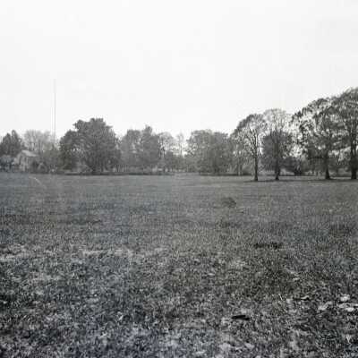 Short Turf Field with Trees at Far Edge.