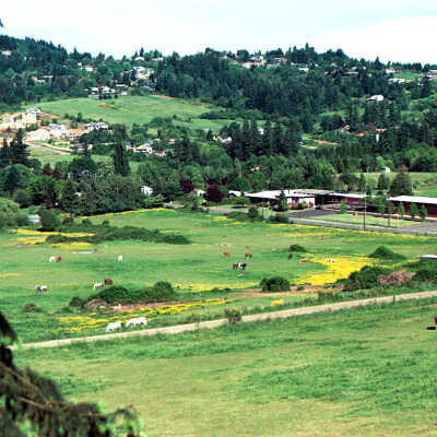 Near Happy Valley School.
