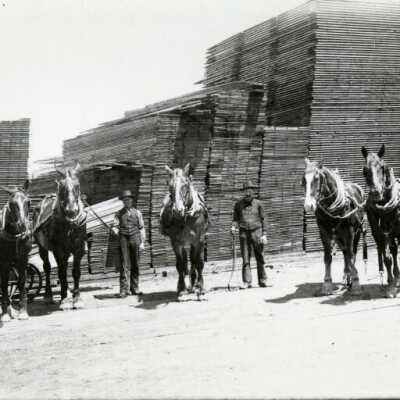 Broughton Lumber Mill Yard, 1887: Origformat: Print-Photographic