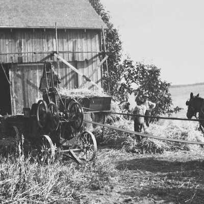 Strickrott's Barn and Threshing Machine. Happpy Valley.: Copyright: Clackamas County Historical Society; Origformat: Other
