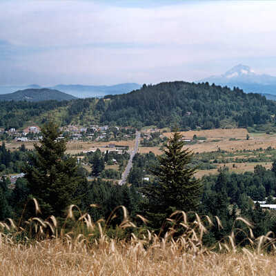 Wheat, Happy Valley and Mt. Hood. 1980's