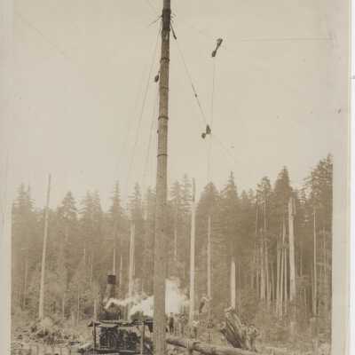 Logging camp