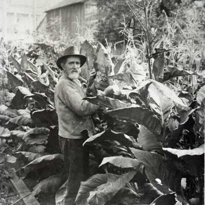 W.W. Quinn of Canemah
