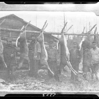 Male hunters with hanging deer for F. Michelson - February 1930 - Negative