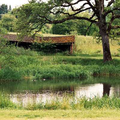 Rebstock Pond and Old Shed along King Road., 1988.: Copyright: Clackamas County Historical Society; Origformat: Other