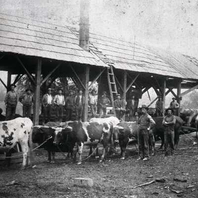 Clackamas (Harmony), Philander Davis Saw Mill