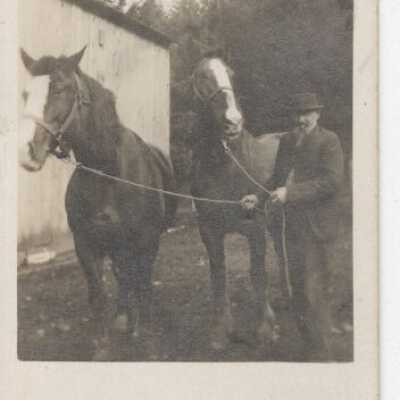 Man Holding the Reins of Two Horses
