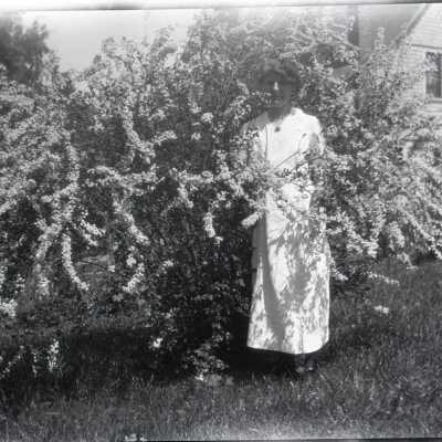Woman Beside Flowering Bush, #2.