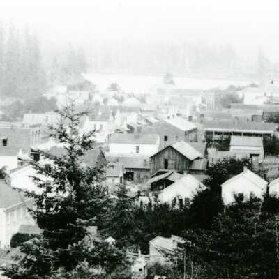Oregon City from Bluff, Watkins Plate 3, A