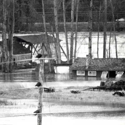 1964 Flood - Willamette Tug Boat Buildings - Oregon City