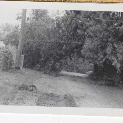 Columbus Day Storm Damage 1962