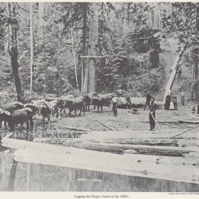 Logging in 1880's