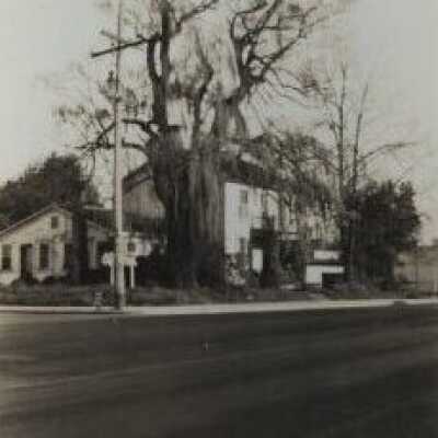 Seth Lewelling House - 1935 - 10966 SE McLoughlin Blvd - Demolished 1940