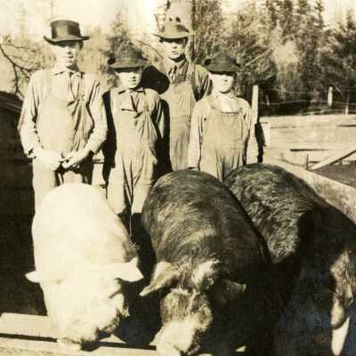 Hogs and Owner in Happy Valley.