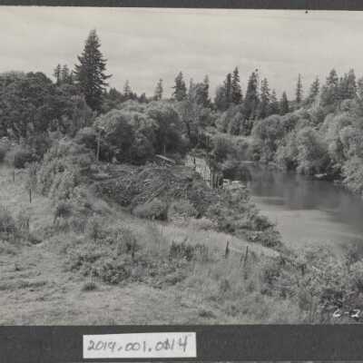 Lumber Industry