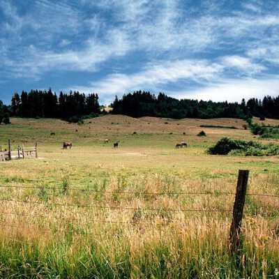 Horse Pasture View looking SE. Happy Valley.: Copyright: Clackamas County Historical Society; Origformat: Other