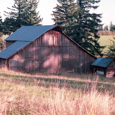 Old Barn East Of 147th Near Aldridge Road, (View #1). 1988