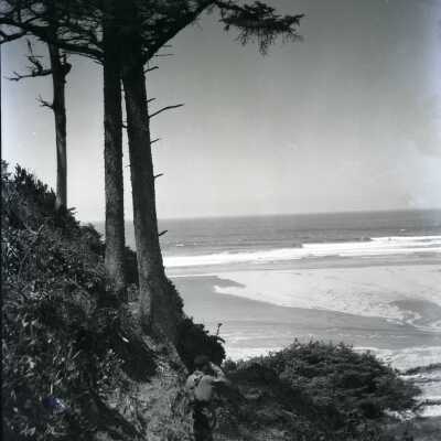 Boy Scout Camp Merriwether - Beach Tree Cape - Negative