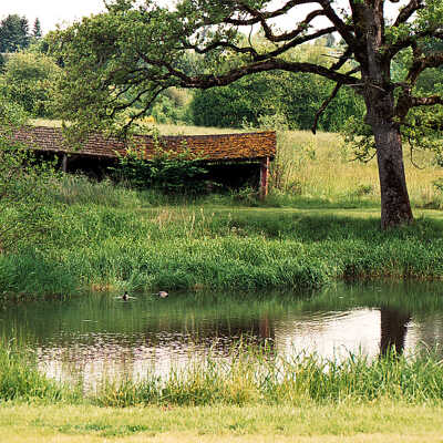 Rebstock Pond and Old Shed along King Road. 1988