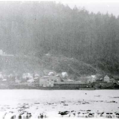 Willamette Falls and Canemah from West Linn