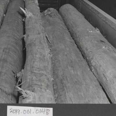 Lumber Industry