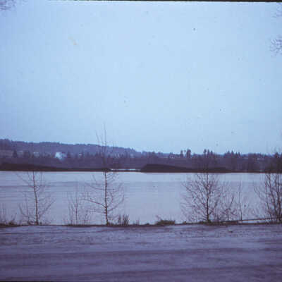 1964 Flood - Behind Oregon City Shopping Center