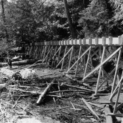 Carl Feyers irrigation flume from Molalla river near Dickie Prairie.: Origsize: 8" x 10"; Origformat: Print-Photographic