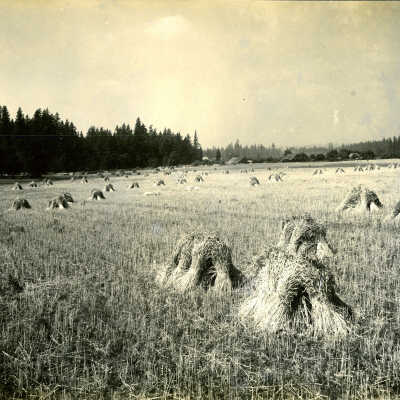 Maple Lawn Farm, owned by W.J.W. McCord, Twilight.