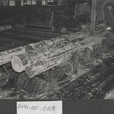 Lumber Industry