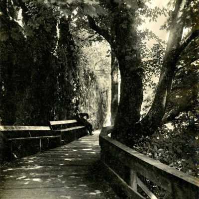 Copyright: Clackamas County Historical Society; Origsize: 8x10; Origformat: Print-Photographic